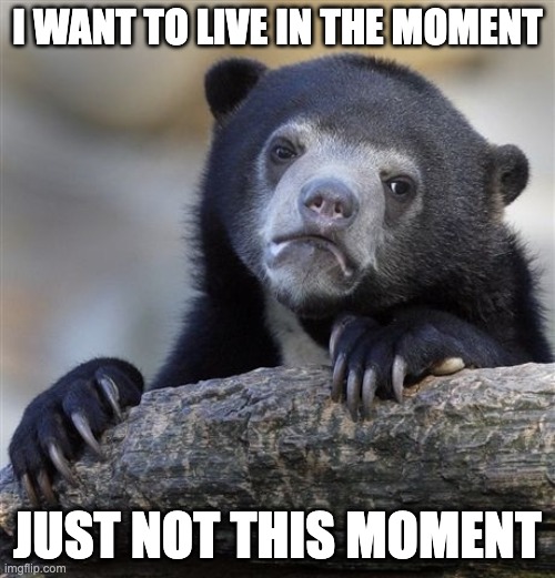 Confession Bear | I WANT TO LIVE IN THE MOMENT; JUST NOT THIS MOMENT | image tagged in memes,confession bear | made w/ Imgflip meme maker