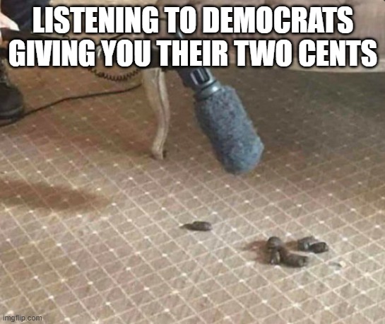 Dog Crap | LISTENING TO DEMOCRATS GIVING YOU THEIR TWO CENTS | image tagged in democrats,liberal logic,liberal media,cnn,msnbc,maga | made w/ Imgflip meme maker