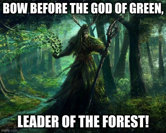 green god | BOW BEFORE THE GOD OF GREEN, LEADER OF THE FOREST! | image tagged in green god | made w/ Imgflip meme maker