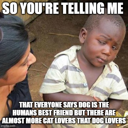 Third World Skeptical Kid | SO YOU'RE TELLING ME; THAT EVERYONE SAYS DOG IS THE HUMANS BEST FRIEND BUT THERE ARE ALMOST MORE CAT LOVERS THAT DOG LOVERS | image tagged in memes,third world skeptical kid | made w/ Imgflip meme maker