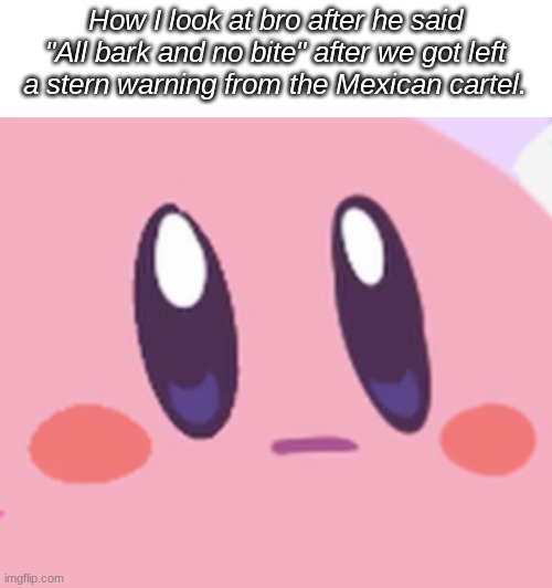 We cooked. | How I look at bro after he said "All bark and no bite" after we got left a stern warning from the Mexican cartel. | image tagged in blank kirby face | made w/ Imgflip meme maker