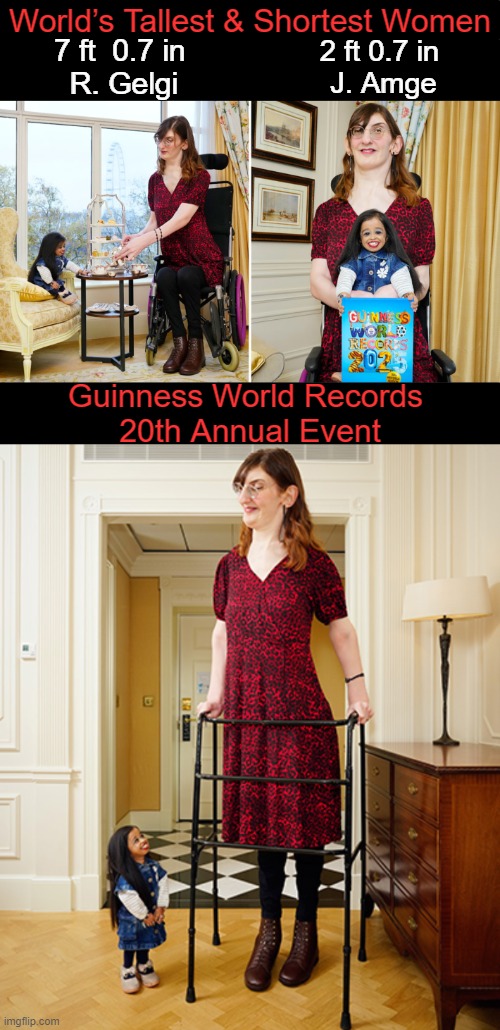 The women met in London to celebrate GWR Day 2024 | World’s Tallest & Shortest Women; 2 ft 0.7 in 
J. Amge; 7 ft  0.7 in 
R. Gelgi; Guinness World Records 
20th Annual Event | image tagged in tallest and shortest women,guinness world record,event,london,fun,amazing | made w/ Imgflip meme maker