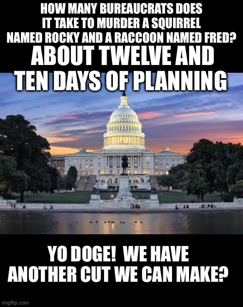 Yep | HOW MANY BUREAUCRATS DOES IT TAKE TO MURDER A SQUIRREL NAMED ROCKY AND A RACCOON NAMED FRED? ABOUT TWELVE AND TEN DAYS OF PLANNING YO DOGE!  | image tagged in washington dc swamp | made w/ Imgflip meme maker