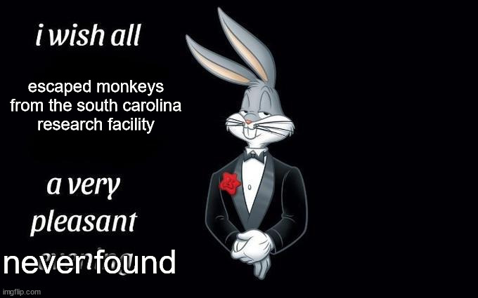 Bugs Bunny wishing x a very pleasant evening | escaped monkeys from the south carolina research facility; never found | image tagged in bugs bunny wishing x a very pleasant evening | made w/ Imgflip meme maker