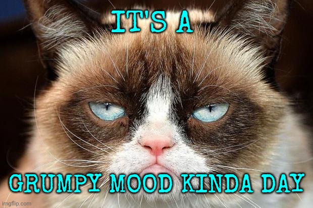 Raspberries | IT'S A; GRUMPY MOOD KINDA DAY | image tagged in memes,grumpy cat not amused,grumpy cat,blah,back off,whatever | made w/ Imgflip meme maker