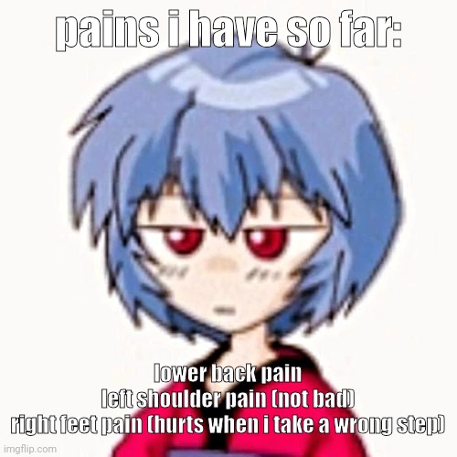 for the feet one. whenever i take a wrong step, the muscle stretches and it hurts as if i stepped on a nail | pains i have so far:; lower back pain
left shoulder pain (not bad)
right feet pain (hurts when i take a wrong step) | image tagged in rei 3 | made w/ Imgflip meme maker