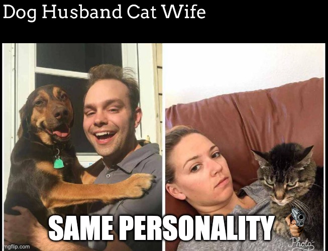 fun dog but cat | SAME PERSONALITY | image tagged in grumpy cat,doge,funny | made w/ Imgflip meme maker