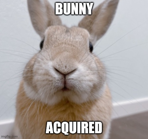 BUNNY ACQUIRED | made w/ Imgflip meme maker