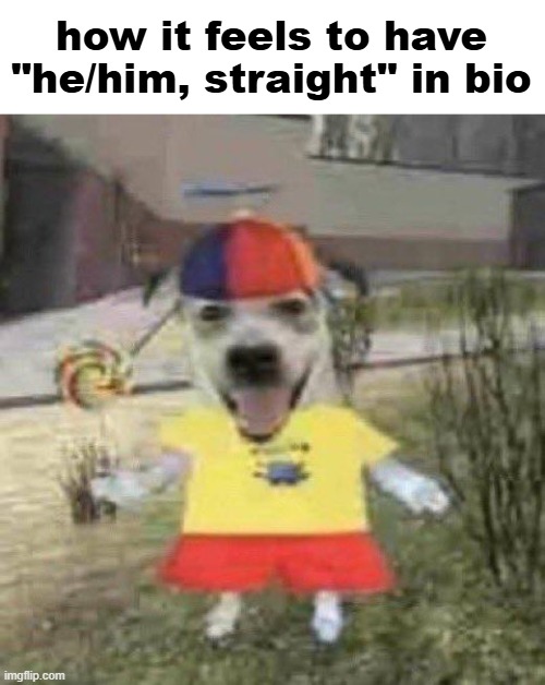 how it feels to have "he/him, straight" in bio | made w/ Imgflip meme maker