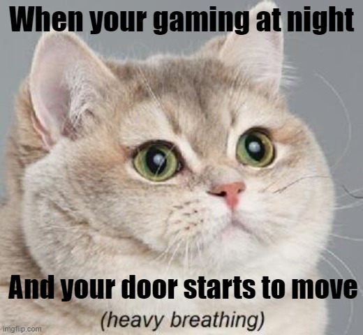 Heavy Breathing Cat | When your gaming at night; And your door starts to move | image tagged in memes,heavy breathing cat | made w/ Imgflip meme maker