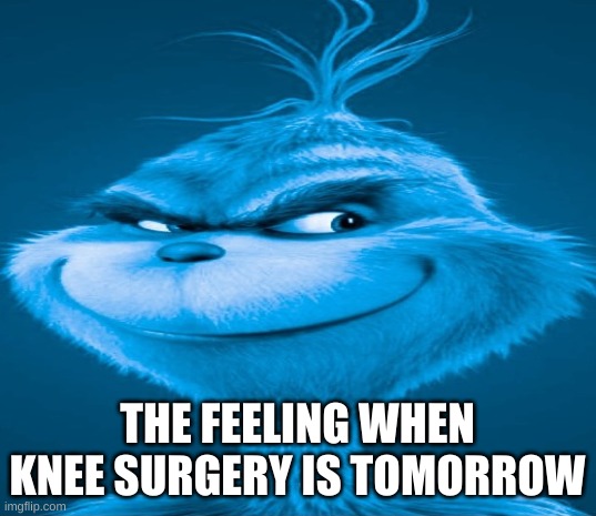 udk | THE FEELING WHEN KNEE SURGERY IS TOMORROW | image tagged in blue grinch | made w/ Imgflip meme maker