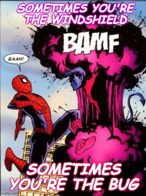 Wisdom from pop songs (Dire Straits) | SOMETIMES YOU'RE
THE WINDSHIELD; SOMETIMES YOU'RE THE BUG | image tagged in nightcrawler bamf,pop music,gen x,wisdom,marvel,xmen | made w/ Imgflip meme maker