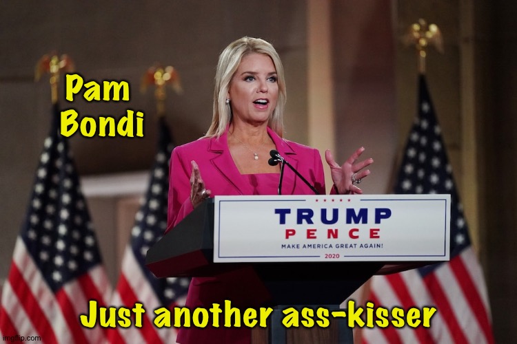 Pucker up, lady | Pam 
Bondi; Just another ass-kisser | image tagged in pam bondi | made w/ Imgflip meme maker