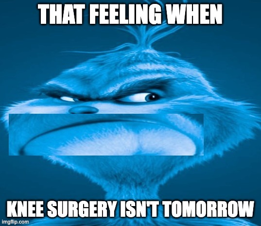 Relatable? | image tagged in the blue grinch,memes,funny,knee surgery,sad,oh wow are you actually reading these tags | made w/ Imgflip meme maker