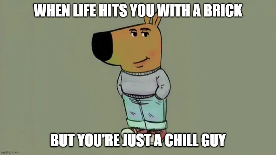 I'm just a chill guy | WHEN LIFE HITS YOU WITH A BRICK; BUT YOU'RE JUST A CHILL GUY | image tagged in memes | made w/ Imgflip meme maker
