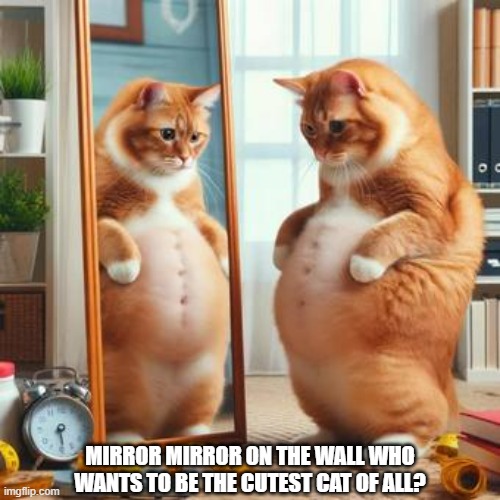 memes by Brad - mirror mirror on the wall who wants to be cutest cat of all? | MIRROR MIRROR ON THE WALL WHO WANTS TO BE THE CUTEST CAT OF ALL? | image tagged in funny,cats,kittens,humor,mirror mirror,cute cat | made w/ Imgflip meme maker