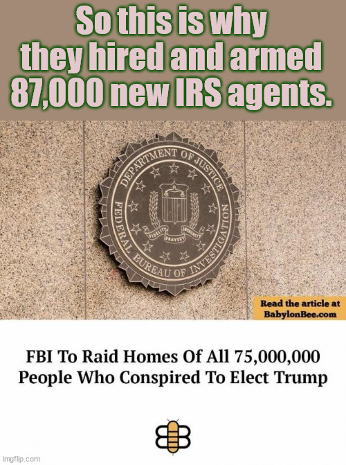 So this is why they hired and armed 87,000 new IRS agents. | made w/ Imgflip meme maker