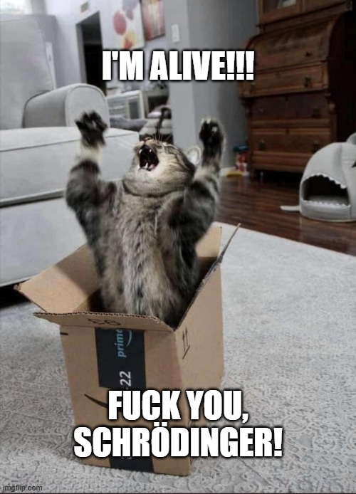 Schrödinger Cat | I'M ALIVE!!! FUCK YOU, SCHRÖDINGER! | image tagged in cat,schrodinger,alive,dead | made w/ Imgflip meme maker