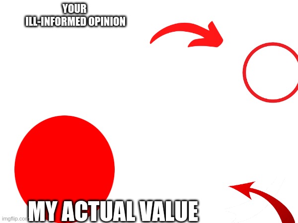 my value | YOUR  ILL-INFORMED OPINION; MY ACTUAL VALUE | image tagged in actual advice mallard | made w/ Imgflip meme maker