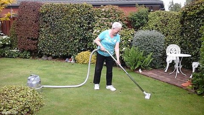 Grandma vacuuming yard | image tagged in grandma vacuuming yard | made w/ Imgflip meme maker