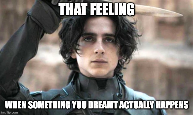 Paul Atreides Salute | THAT FEELING; WHEN SOMETHING YOU DREAMT ACTUALLY HAPPENS | image tagged in paul atreides salute | made w/ Imgflip meme maker