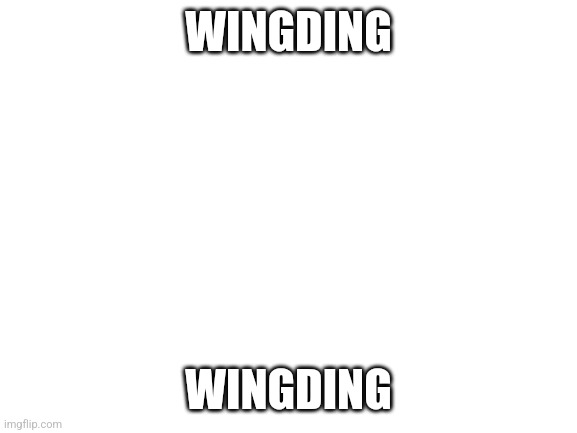 wingding | WINGDING; WINGDING | image tagged in wingding,wingdingg,wingdinng,wingdiing,wingdding,winggding | made w/ Imgflip meme maker