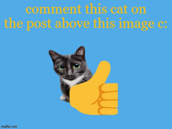 aether temp | comment this cat on the post above this image c: | image tagged in aether temp | made w/ Imgflip meme maker