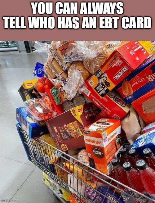 You Can Always Tell Who Has An EBT Card | YOU CAN ALWAYS TELL WHO HAS AN EBT CARD | image tagged in ebt card,groceries,food,shopping cart,funny,memes | made w/ Imgflip meme maker