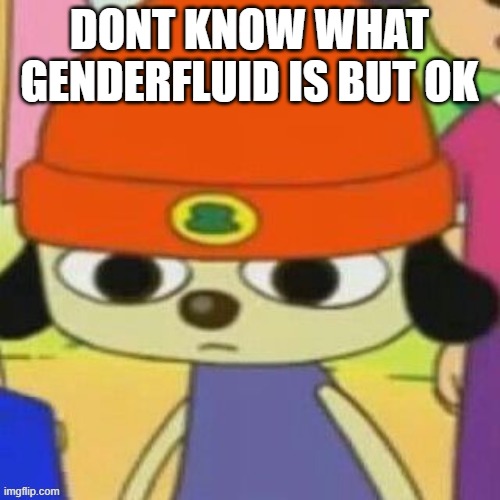 DONT KNOW WHAT GENDERFLUID IS BUT OK | made w/ Imgflip meme maker