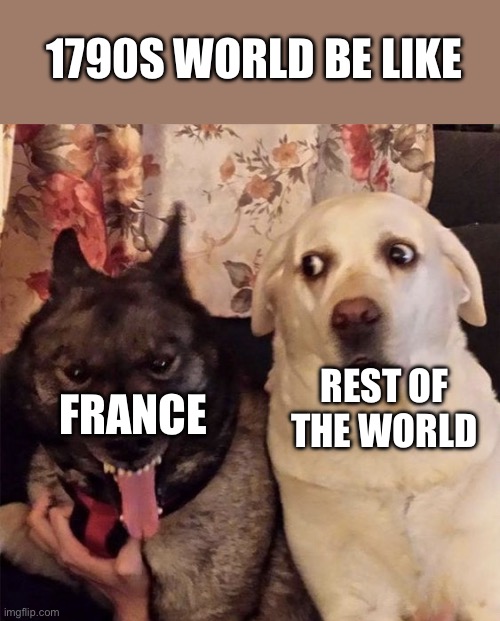 French Revolution | 1790S WORLD BE LIKE; FRANCE; REST OF THE WORLD | image tagged in angry dog scared dog | made w/ Imgflip meme maker