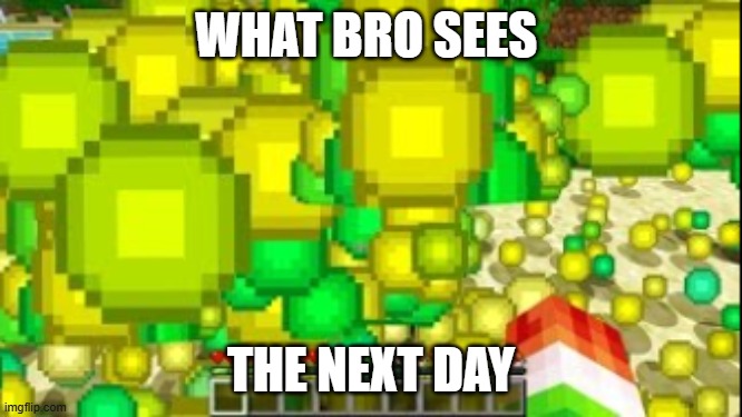 WHAT BRO SEES THE NEXT DAY | image tagged in minecaft xp | made w/ Imgflip meme maker