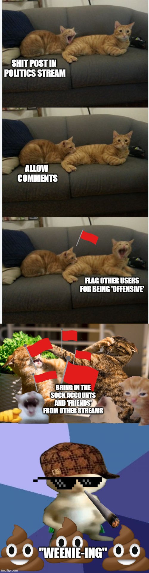 ALLOW 
COMMENTS SHIT POST IN 
POLITICS STREAM FLAG OTHER USERS FOR BEING 'OFFENSIVE' BRING IN THE SOCK ACCOUNTS AND 'FRIENDS' FROM OTHER STR | image tagged in cat biting cat three panel edition,cats fighting,memes,success kid | made w/ Imgflip meme maker