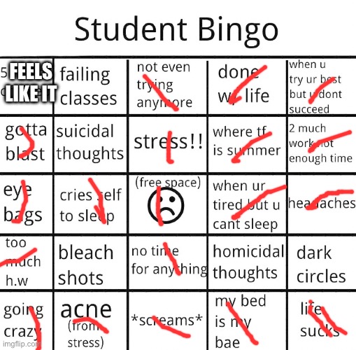 :/ | FEELS LIKE IT | image tagged in student bingo | made w/ Imgflip meme maker