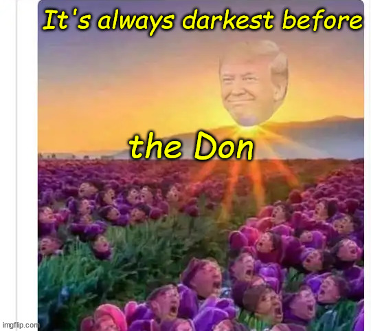 It's always darkest before the Don | made w/ Imgflip meme maker