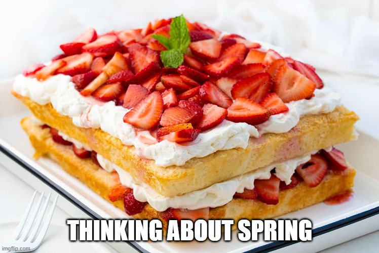 Strawberry Shortcake | THINKING ABOUT SPRING | image tagged in food | made w/ Imgflip meme maker