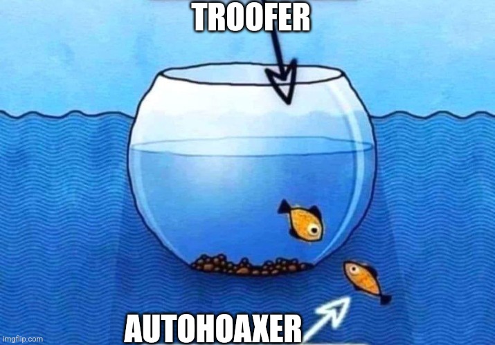 Outside the box | TROOFER; AUTOHOAXER | image tagged in autohoax,troofer,fish bowl | made w/ Imgflip meme maker