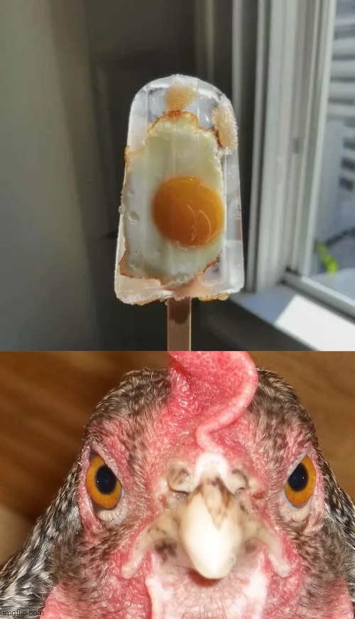 Sunny side upsicle | image tagged in angry chicken,sunny side up,popsicle,egg,cursed image,memes | made w/ Imgflip meme maker