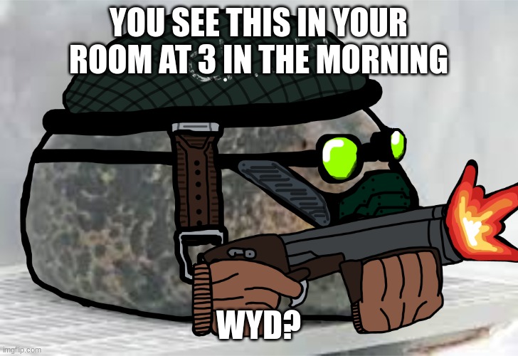 Tell me, I need to know | YOU SEE THIS IN YOUR ROOM AT 3 IN THE MORNING; WYD? | image tagged in tactical chonk deployed the second | made w/ Imgflip meme maker