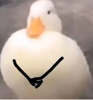 duck Blank Meme Template