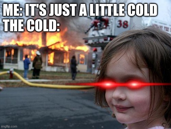 So true tho | ME: IT'S JUST A LITTLE COLD
THE COLD: | image tagged in memes,disaster girl,cold | made w/ Imgflip meme maker