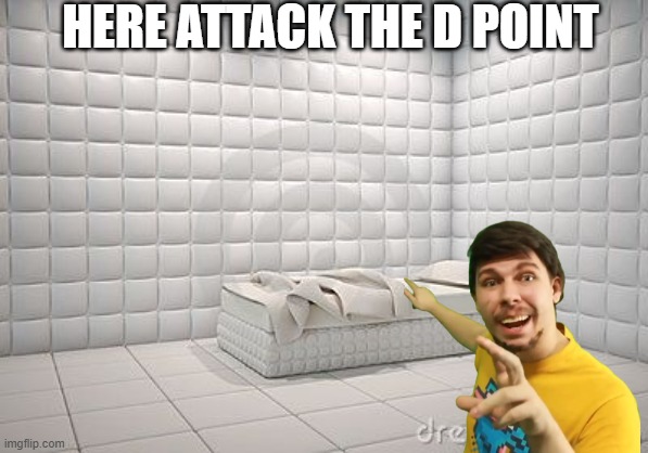 insane asylum pillow room | HERE ATTACK THE D POINT | image tagged in insane asylum pillow room | made w/ Imgflip meme maker