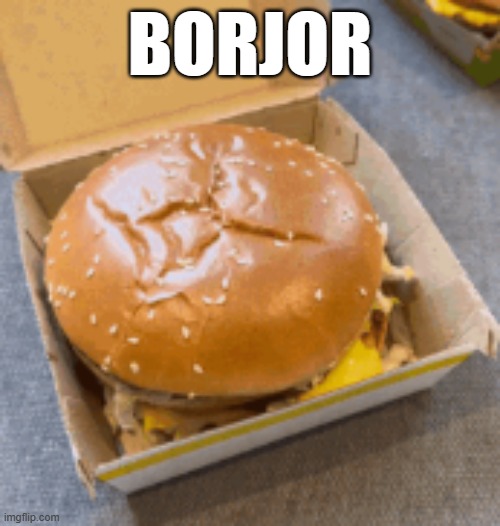 she single? | BORJOR | image tagged in burger,never gonna give you up,memes | made w/ Imgflip meme maker