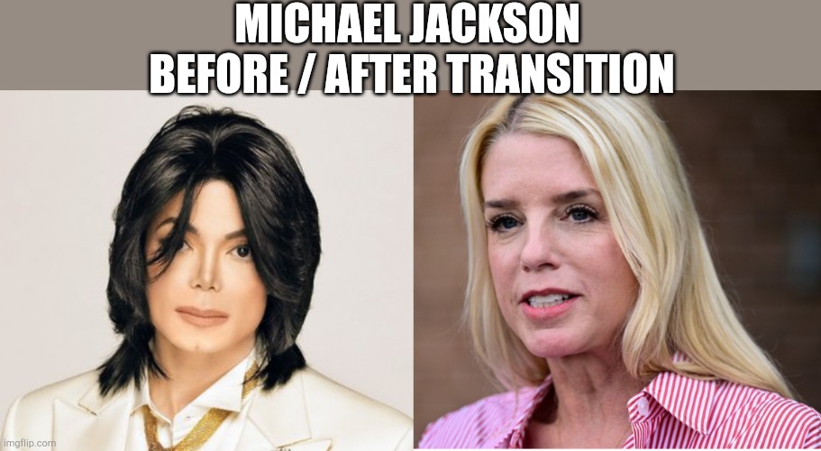 Pam bondi | MICHAEL JACKSON 
BEFORE / AFTER TRANSITION | image tagged in michael jackson,bondi | made w/ Imgflip meme maker