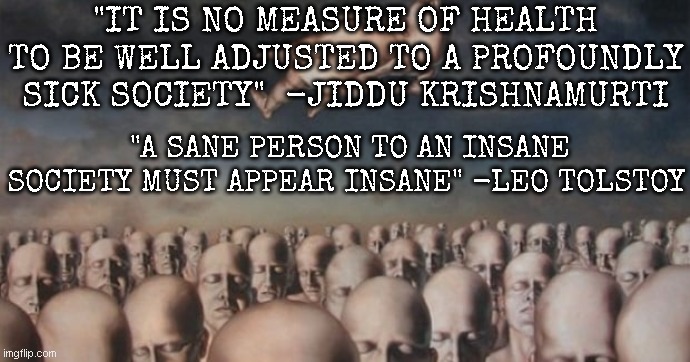 Society | "IT IS NO MEASURE OF HEALTH TO BE WELL ADJUSTED TO A PROFOUNDLY SICK SOCIETY"  -JIDDU KRISHNAMURTI; "A SANE PERSON TO AN INSANE SOCIETY MUST APPEAR INSANE" -LEO TOLSTOY | image tagged in society | made w/ Imgflip meme maker