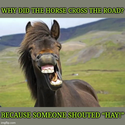 WHOA! | WHY DID THE HORSE CROSS THE ROAD? BECAUSE SOMEONE SHOUTED “HAY!” | image tagged in memes,horse,animals,horse jokes | made w/ Imgflip meme maker