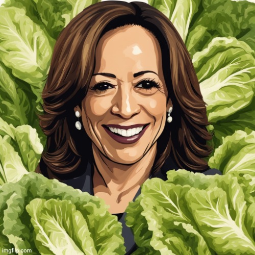 Kamala Harris Word Salad | image tagged in kamala harris word salad | made w/ Imgflip meme maker