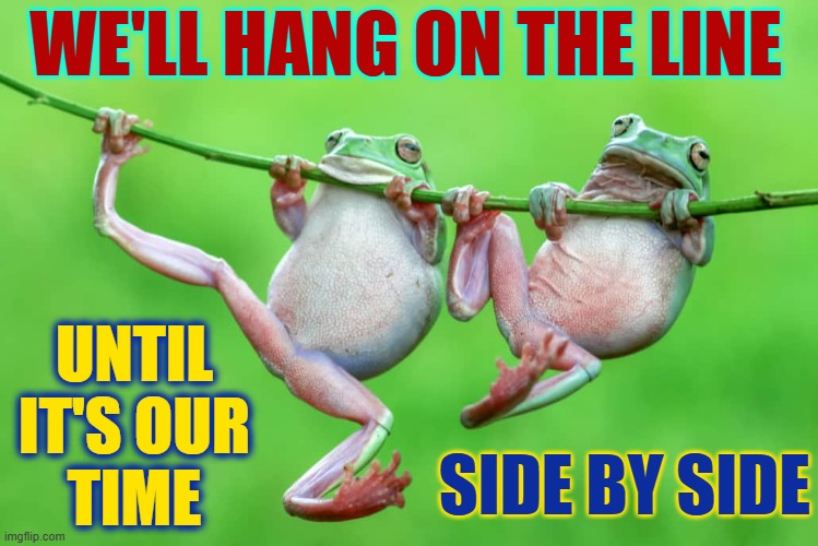 Brothers who are also Best Friends | WE'LL HANG ON THE LINE; UNTIL
IT'S OUR
TIME; SIDE BY SIDE | image tagged in vince vance,frogs,side by side,memes,friendship,hanging | made w/ Imgflip meme maker