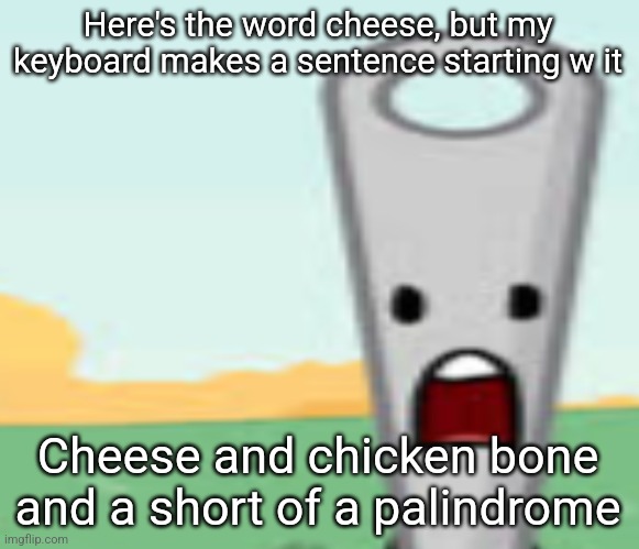 needle | Here's the word cheese, but my keyboard makes a sentence starting w it; Cheese and chicken bone and a short of a palindrome | image tagged in needle | made w/ Imgflip meme maker