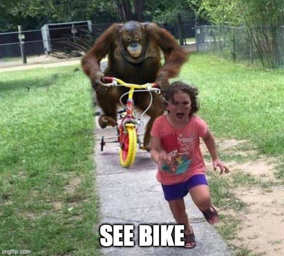 orangutan chasing kid on tricycle | SEE BIKE | image tagged in orangutan chasing kid on tricycle | made w/ Imgflip meme maker