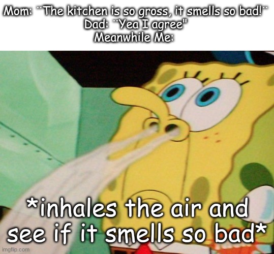 smells don't exist | Mom: ¨The kitchen is so gross, it smells so bad!¨
Dad: ¨Yea I agree"
Meanwhile Me:; *inhales the air and see if it smells so bad* | image tagged in spongebob sniff,spongebob,sniff | made w/ Imgflip meme maker